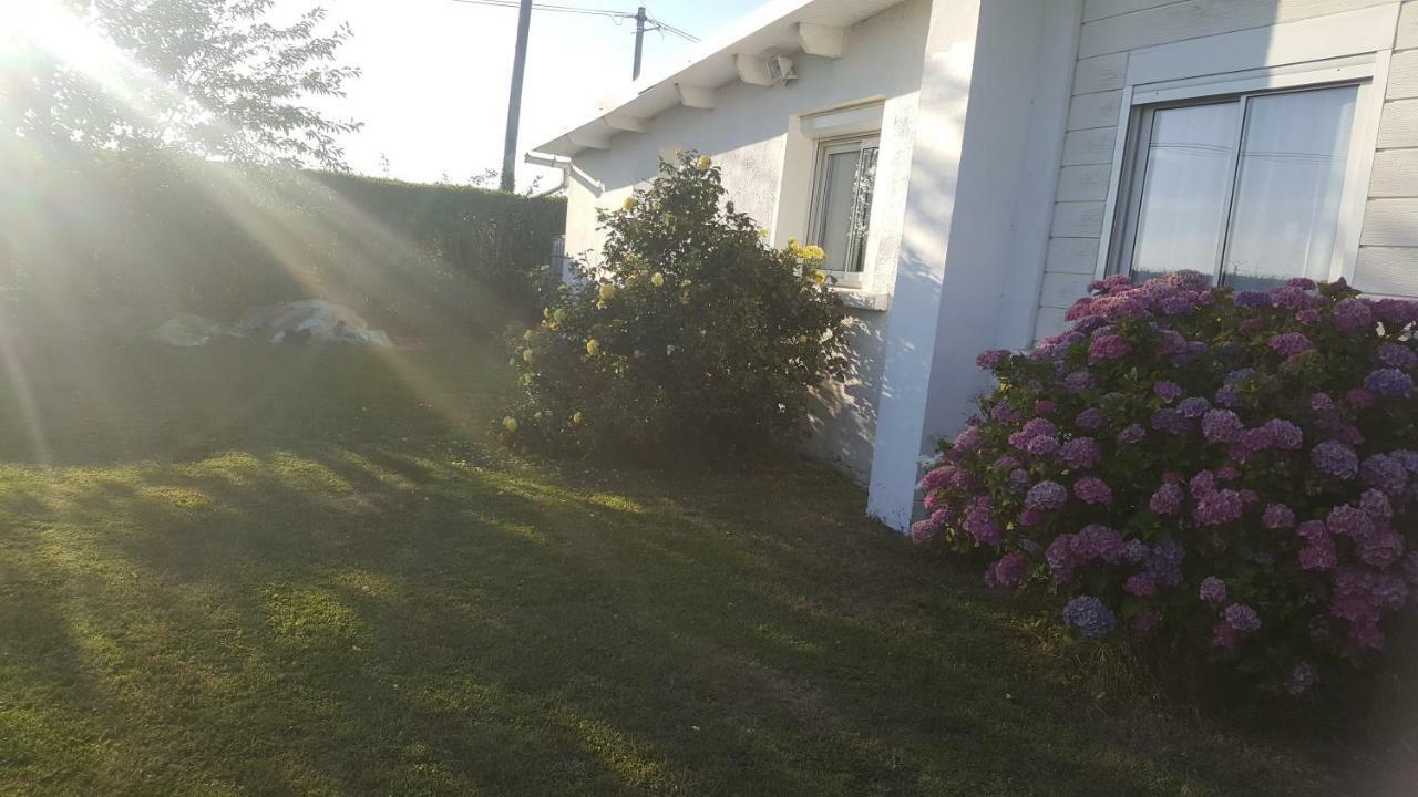 La Maison Des Oiseaux Eu (Seine-Maritime) Exterior foto